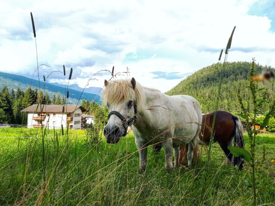 IMG_20180729_084846_173